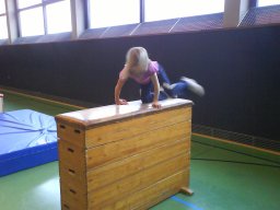 Hallentraining 2009